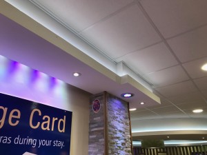 Suspended Ceiling