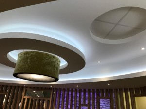 Ceiling Complete With Lighting